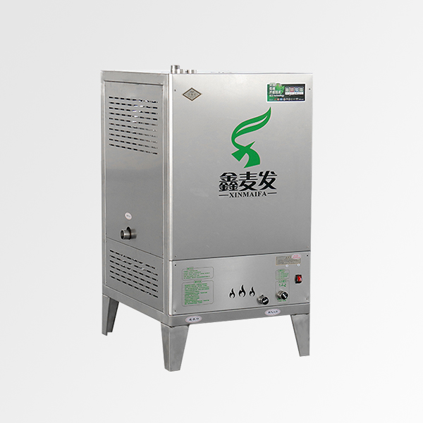 燃气蒸汽发生器