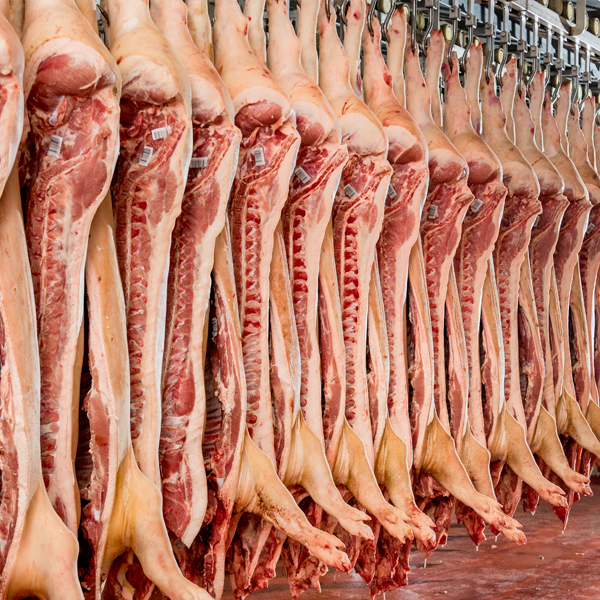 消毒灭菌/脱毛去皮/蒸煮等